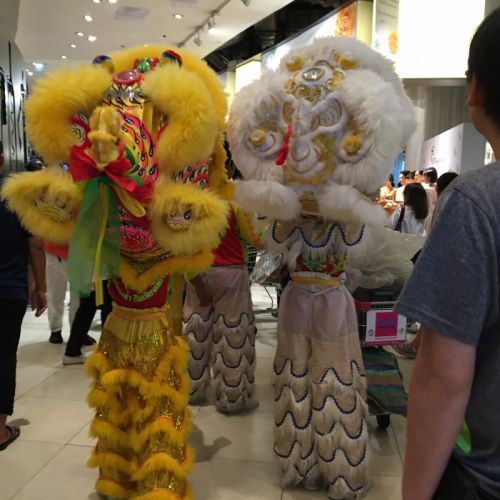 いざ出陣！という感じの獅子たち