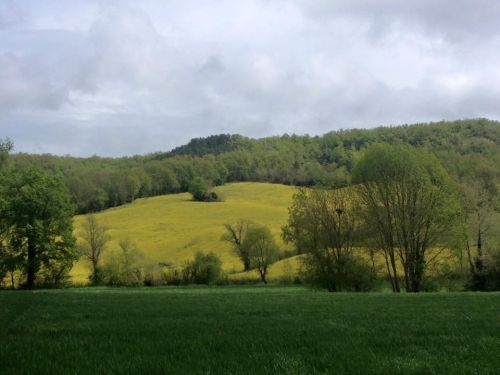 まるで絵画のような景色