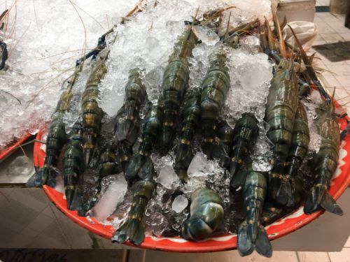 有名リバープロウン（川エビ）がてんこ盛り