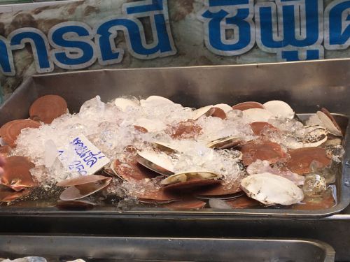 ホタテは日本のものと貝の模様が違います