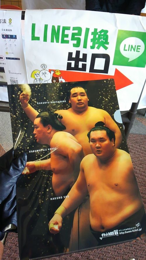 クリアファイルもらえました。相撲協会もファンサービスが充実です。