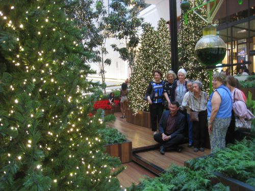 クリスマスツリーに囲まれて記念写真を撮る高齢者グループ