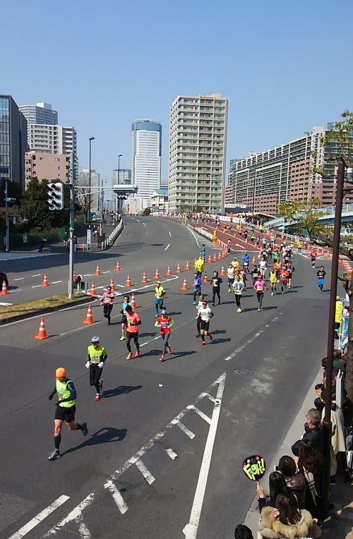 たくさんの人が走っています。