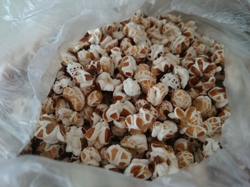 主人の伯父が作ったトウモロコシを膨らませた「ッポンティギ」