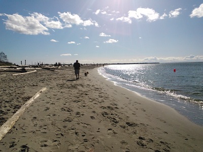 あまり人がいないビーチ。夏は混みあうと聞いています。