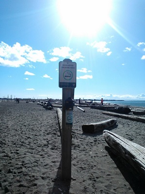 面白いなと思うのが、ビーチにも喫煙コーナーがあるところ