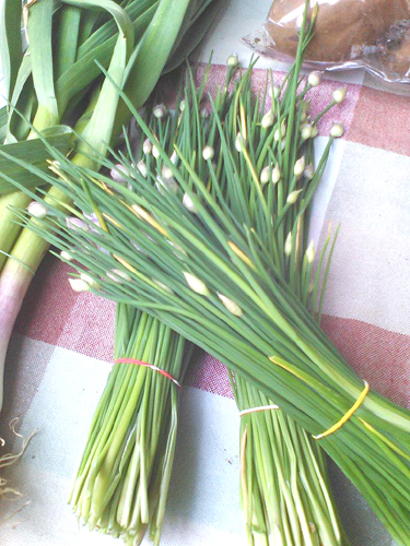  かわいらしく束ねられ、紅白チェックのテーブルクロスによく映えていますね。