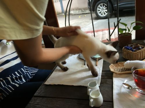 でもすぐに連れて行かれます　そしてまたお説教…