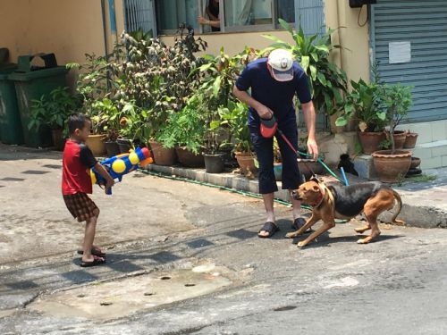 愛犬も水をかけられました笑　