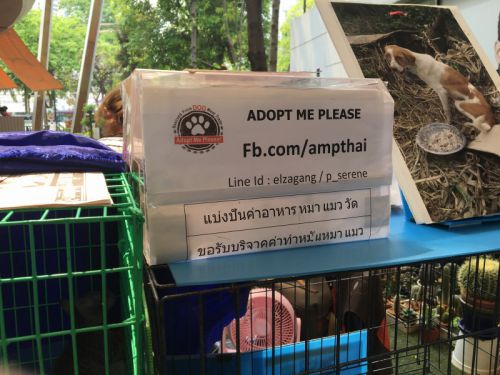 「ADOPT ME PLEASE」が団体の名前のようです