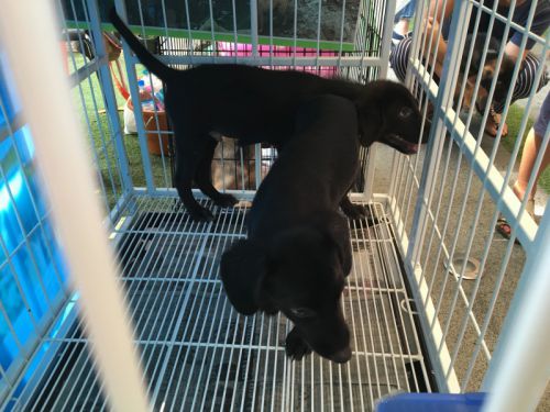 募金など色んな形で協力できます