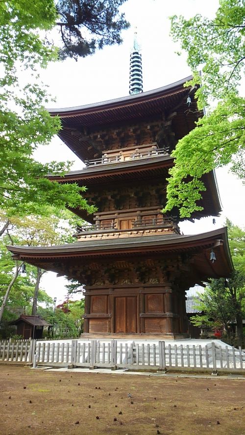 美しくて、立派な三重塔。