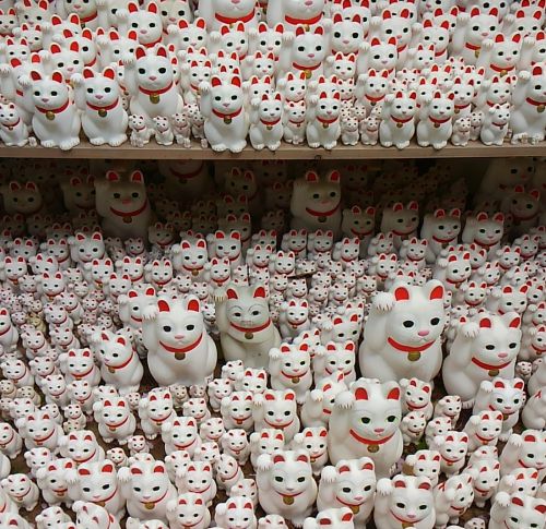 招き猫がぎっしりです。