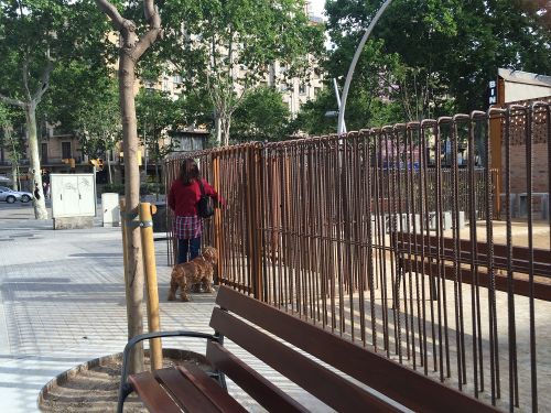 飼い主同士、友好関係がすぐに生まれる場所でもあるそうです。