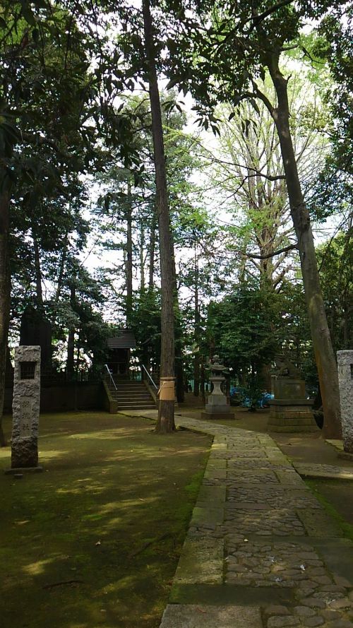 ひんやりとして、静かです。