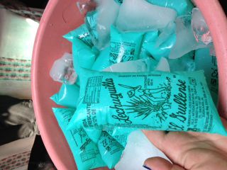 片手サイズのレチュギージャ