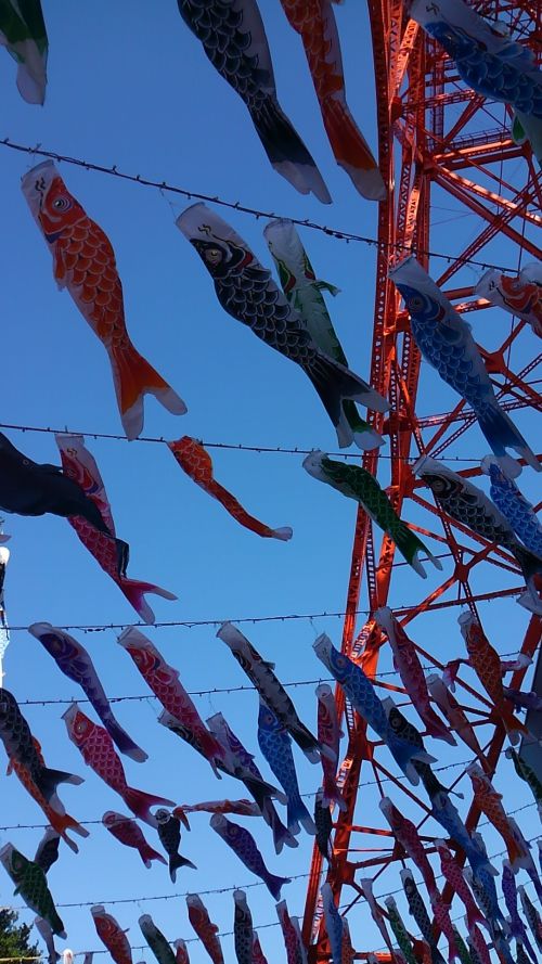 空を埋め尽くすほどのコイノボリ。