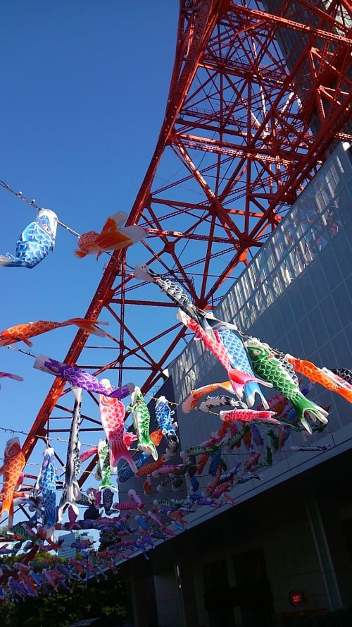 風に乗って気持ちよさそう。