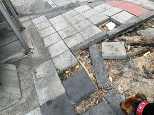 資材置き場ではありません