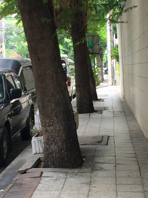 比較的まともな道路