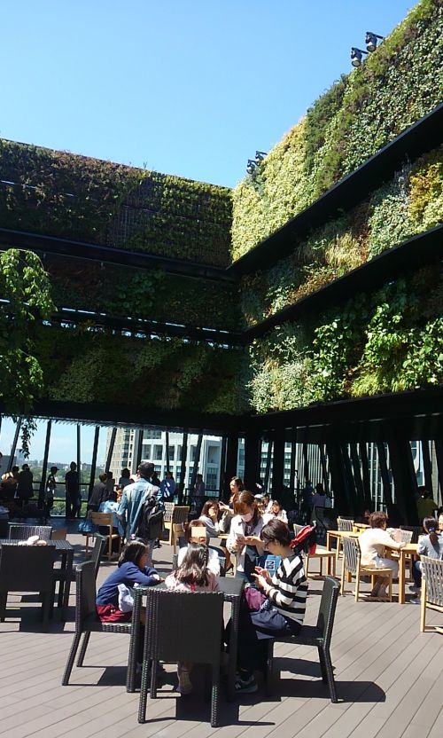 青い空。気持ちがいいです。