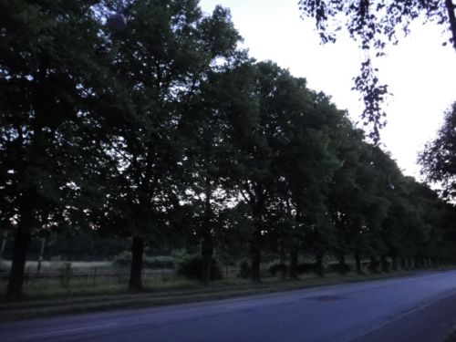 こちらも夜の９時半頃