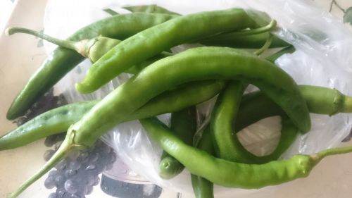 今が旬のいただきものの唐辛子、さて甘いか辛いか…