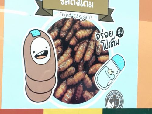 バスの側面広告にこんな商品を発見