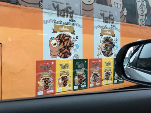 何かと思ったら…