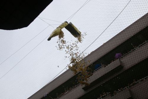 バナナから紙吹雪が