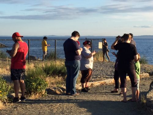 美しい景色が目の前に広がるビーチで、たくさんの人が眺めているのは携帯。ピカチューが捕れる場所だったのです！