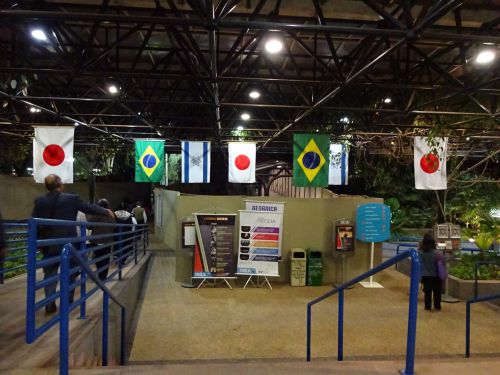 イスラエル、ブラジル、日本の国旗が飾られた日本の競泳選手団がオリンピック前に調整していたサンパウロ市のヘブライ・クラブ