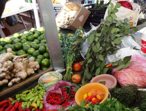 朝市で販売されているローリエの生の葉っぱ