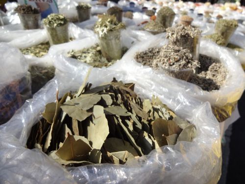 朝市で販売される乾燥したローリエの葉っぱ