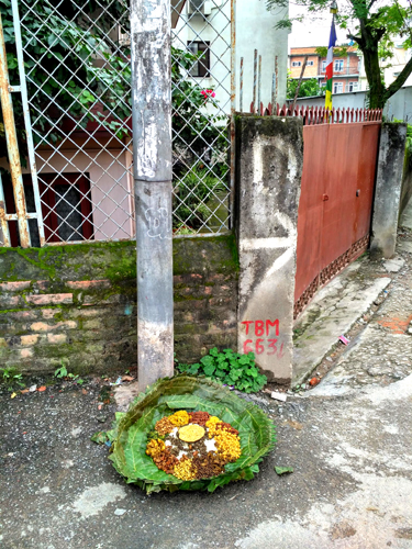 電信柱の脇のごちそうはわんちゃんの口に？