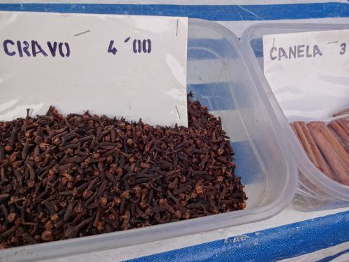 フェイラ（朝市）で販売されるクラ―ボ・デ・インジオ（丁子；クローヴ）