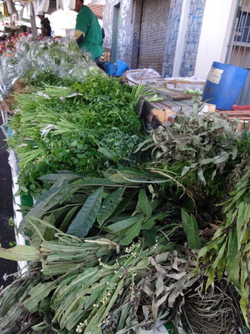 食用、薬用、厄除けまで様々なハーブが販売されるフェイラの一角