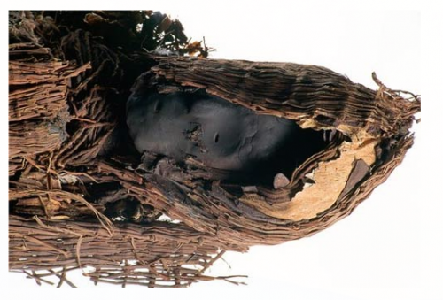 画像引用元 ( http://www.ancient-origins.net/ancient-places-americas/7000-year-old-chinchorro-mummies-andes-001947 )