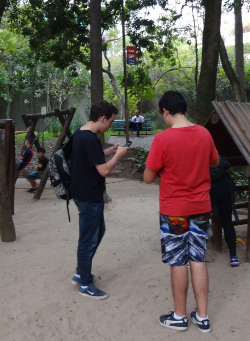 サンパウロ市内の公園でポケモンGOをする若者たち