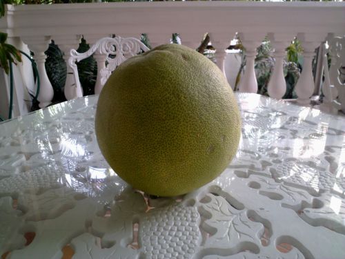 何の変哲もない見かけ