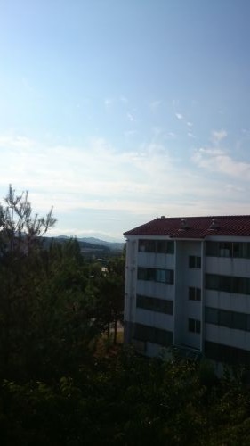 ひどい濃度のオゾン汚染から一夜明け、だいぶ良くなった9月2日の朝