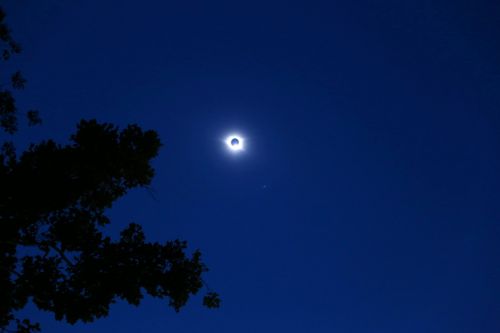 友人が写真撮影した皆既日食。隠れた太陽からはみ出すプロミネンスの美しさ！（川上智子さん撮影）