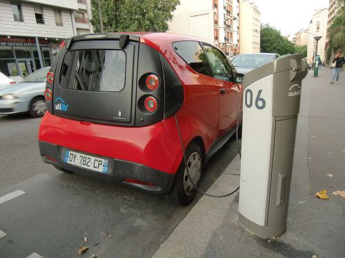 見つけました！　滅多に見つからない赤のボディー