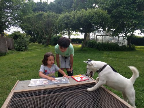 犬への音読で読書への自信をつけていく子どもたち