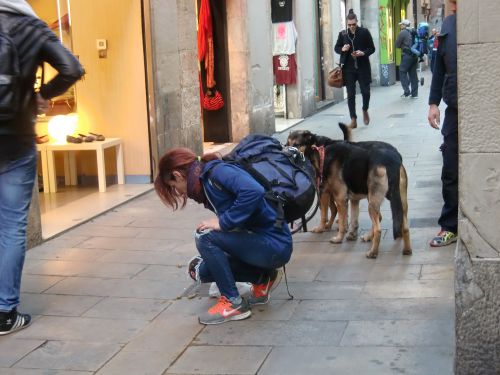 排せつ物を放置した飼い主には35ユーロの罰金が科されます