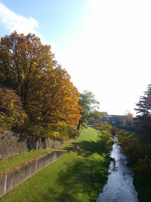 東京とは思えないこの景色