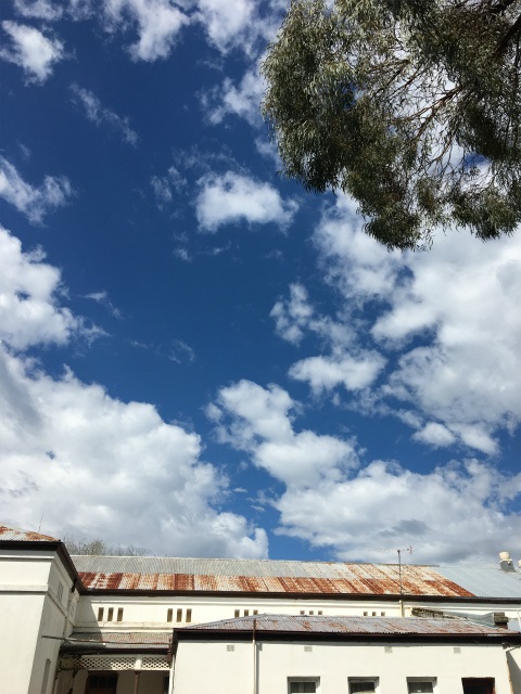 施設の上の青空（施設側の写真のみ掲載しています）