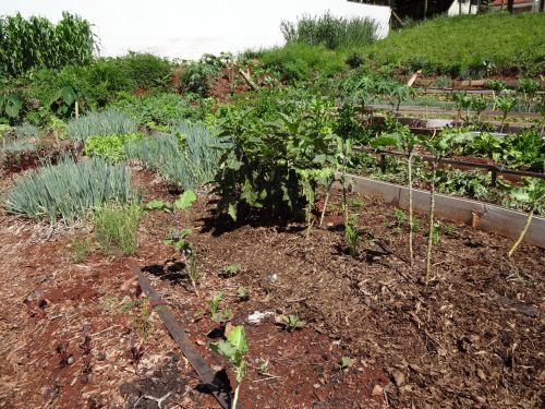 マリンガ市の菜園コミュニティーの一つジャルジン・イグアス