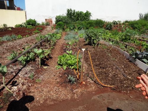 マリンガ市の菜園コミュニティーの一つジャルジン・イグアス