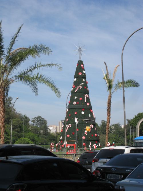 まちを彩るクリスマスツリー。サンパウロ市最大のイビラプエラ公園で